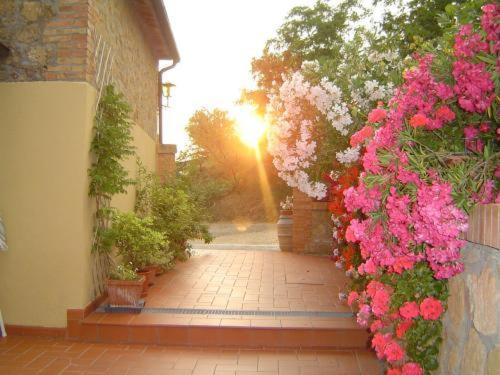 Farm stay Agriturismo Colombaiolo Pienza