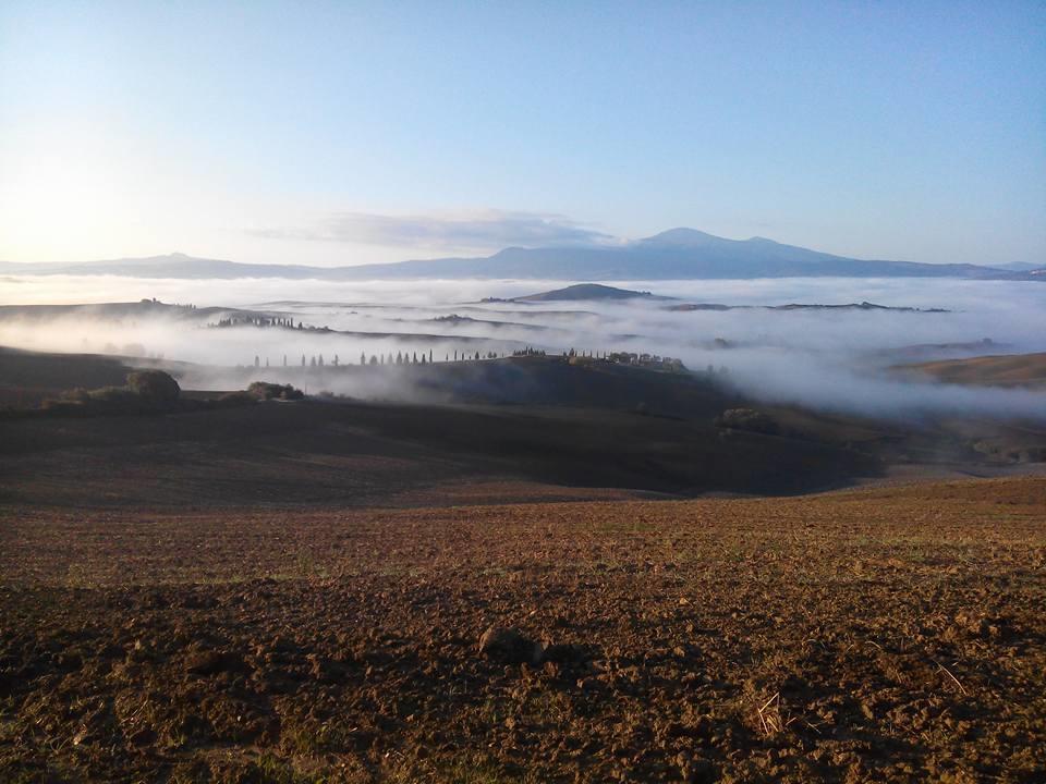 Agriturismo Colombaiolo Farm stay Pienza