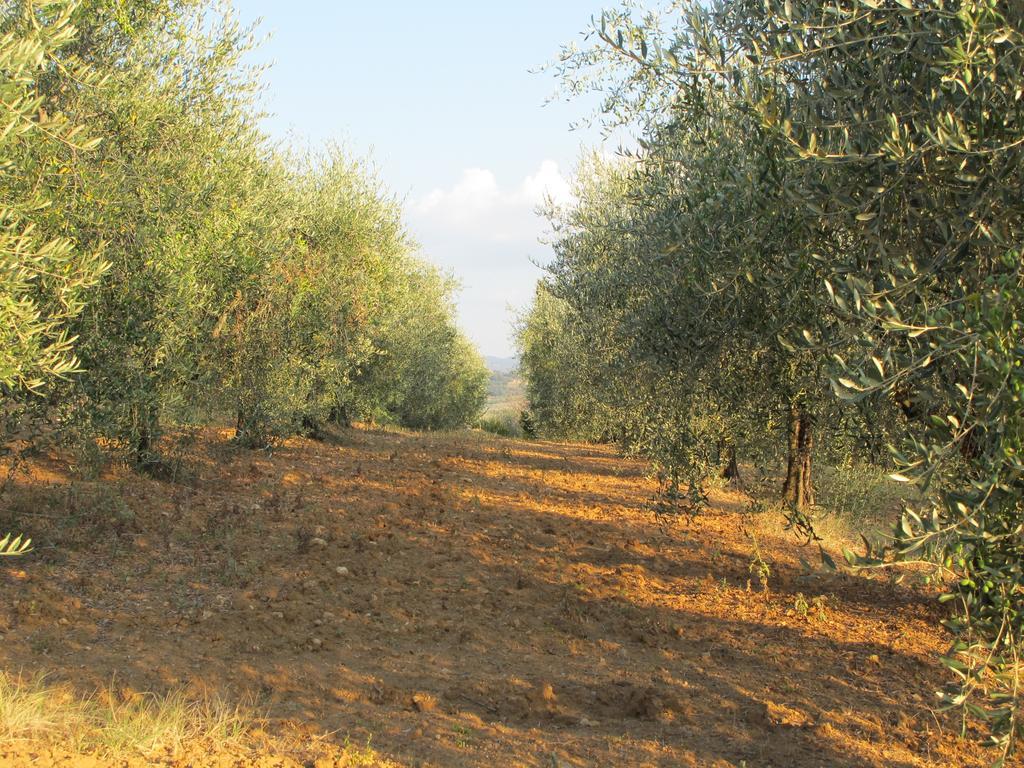Agriturismo Colombaiolo Pienza