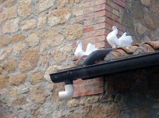 Agriturismo Colombaiolo * Pienza