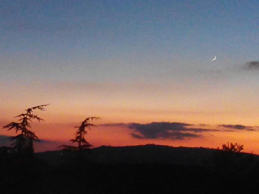 Bauernhof Agriturismo Colombaiolo Pienza